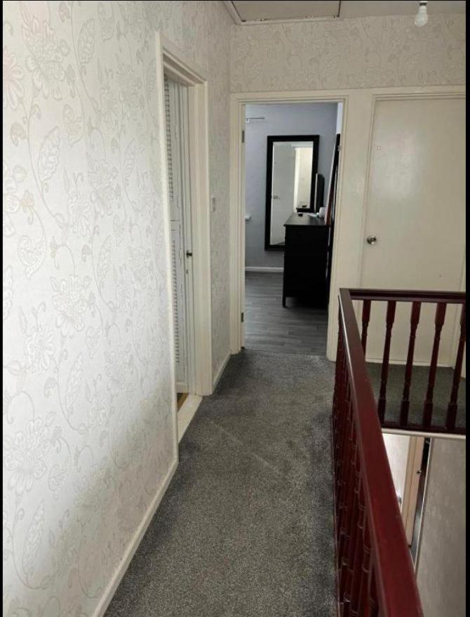 Macs Belfast Single Bedroom Εξωτερικό φωτογραφία